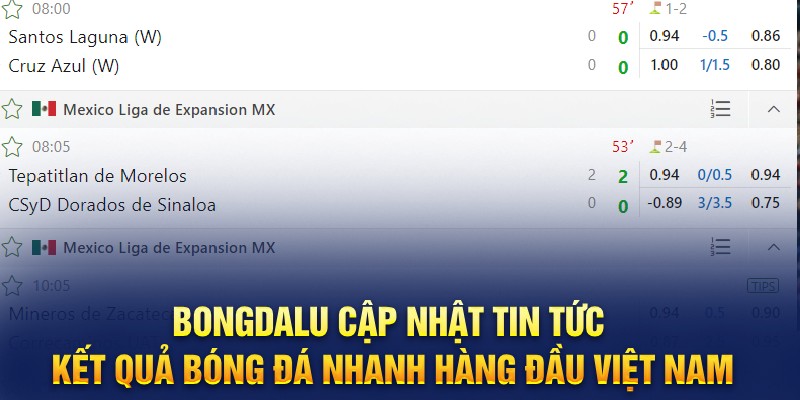 Bongdalu cập nhật tin tức, kết quả bóng đá nhanh hàng đầu Việt Nam